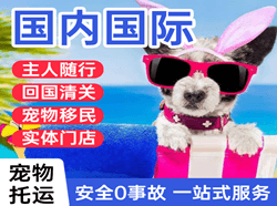 阿尔山伊尔施机场快运国际宠物托运 【国